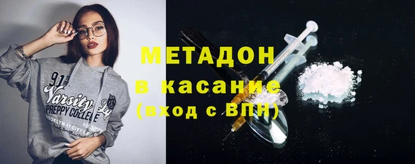 хмурый Аркадак